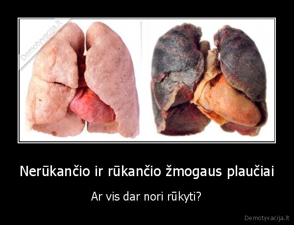 Nerūkančio ir rūkančio žmogaus plaučiai