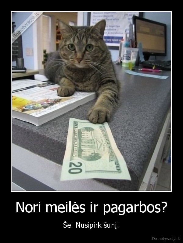 juokingas, katinas,katinas, duoda, pinigus