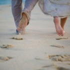 ناصر الشريف