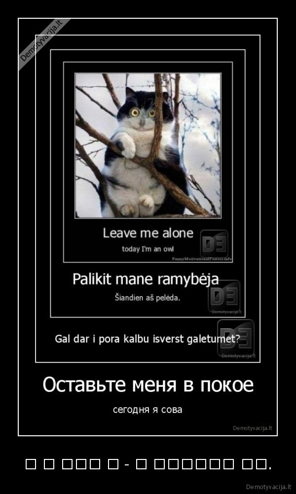 나 좀 내버려 둬 - 난 올빼미입니다 오늘.