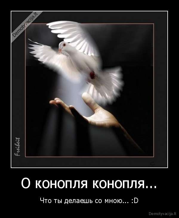 О конопля конопля...