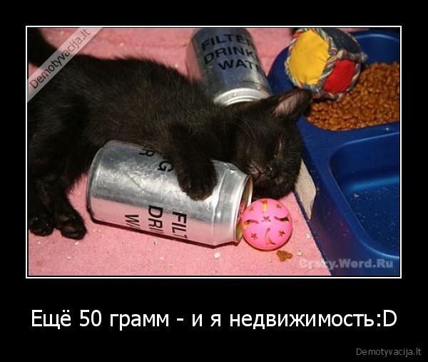 Ещё 50 грамм - и я недвижимость:D