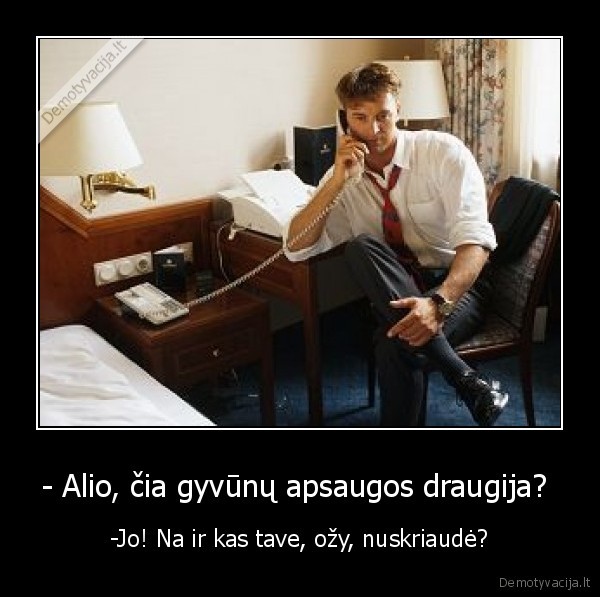 - Alio, čia gyvūnų apsaugos draugija? 