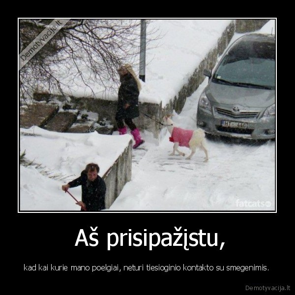 blondines,smegenys,ozka