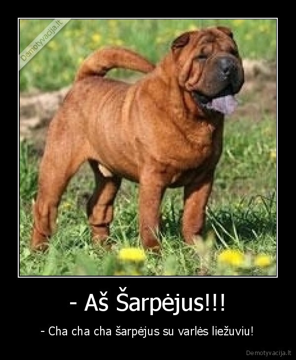 - Aš Šarpėjus!!!