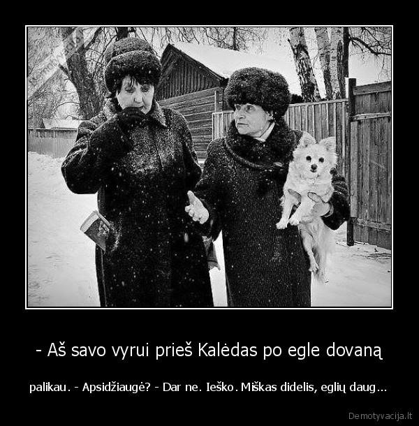 kaledos,dovanos, miskas