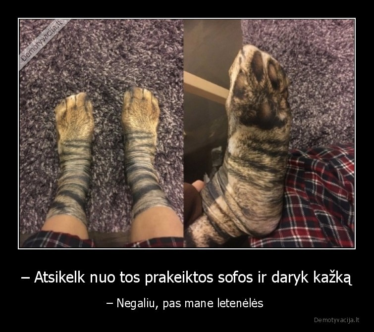 letenos,kojines,sofa,negaliu