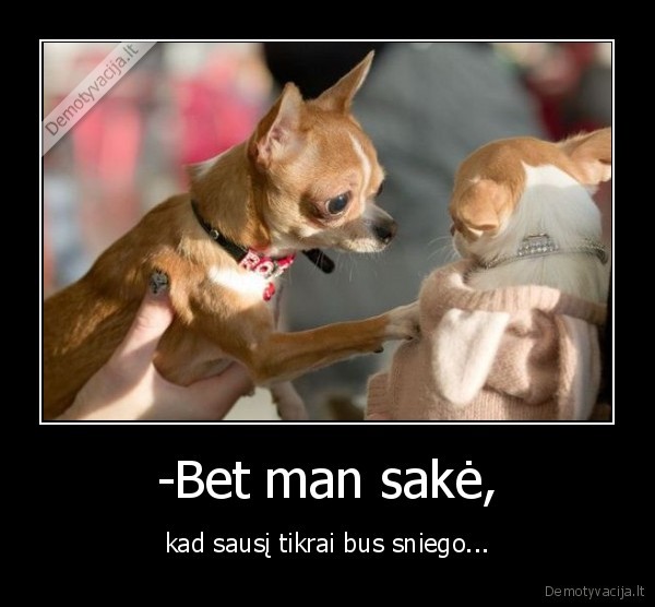 sniegas,sausis,gyvunai