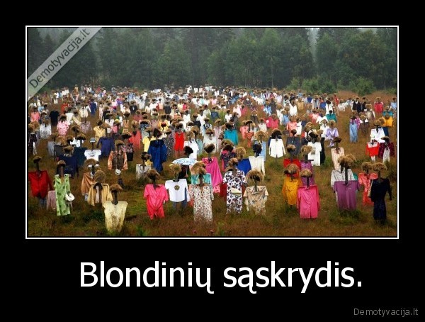 blondines,saskrydis