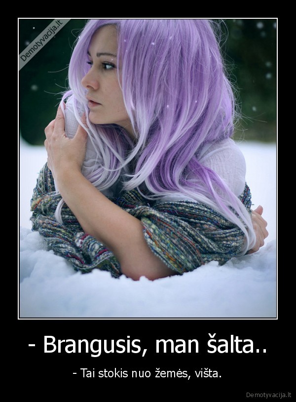 vista,sniegas,ziema,saltis