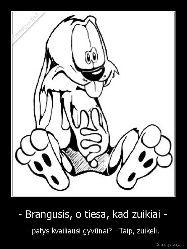 zuikis,kvailys,zmona