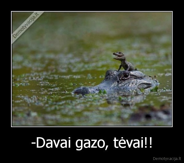 -Davai gazo, tėvai!!