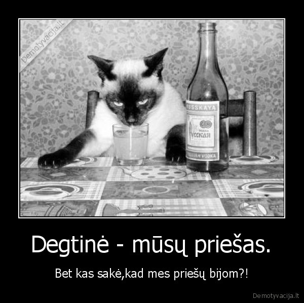  Degtinė - mūsų priešas. 
