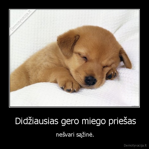 nesvari, sazine,miegas,priesas