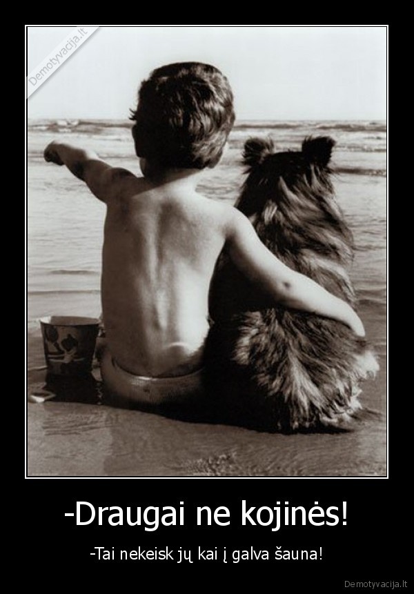 draugai