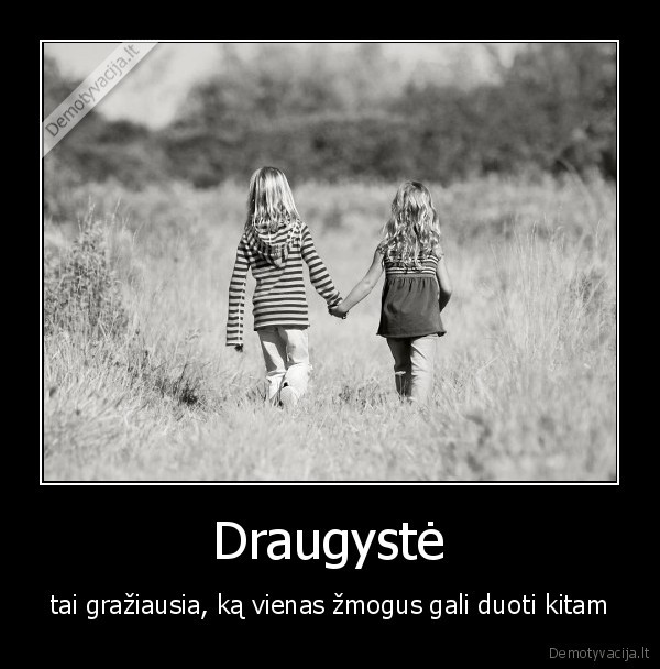  Draugystė 