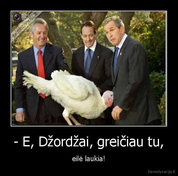 irrrrr, 1,2,3,kalakuta, padarys