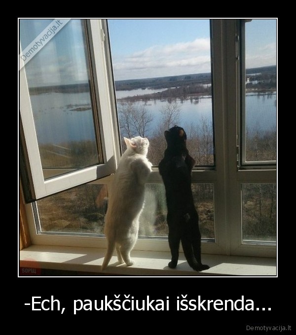 -Ech, paukščiukai išskrenda...