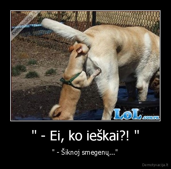 &quot; - Ei, ko ieškai?! &quot;