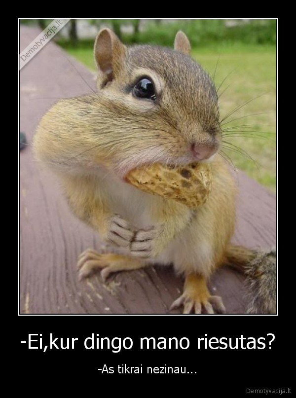 -Ei,kur dingo mano riesutas?