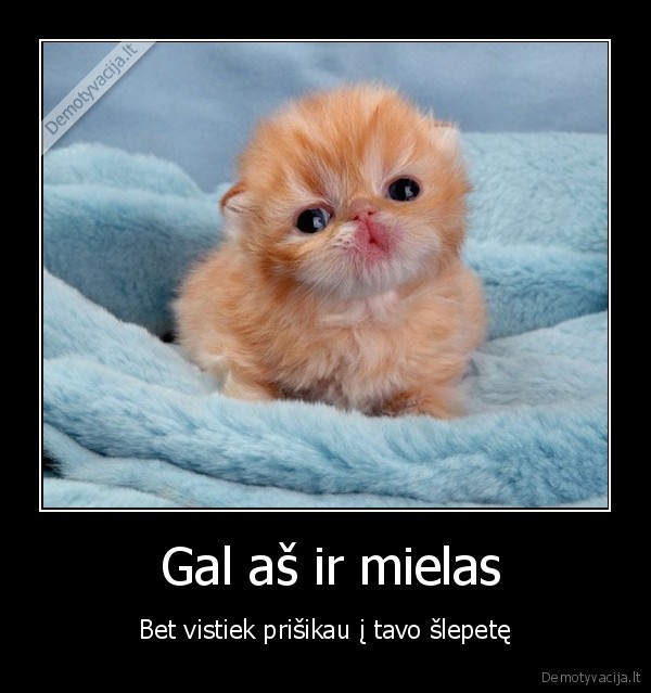  Gal aš ir mielas