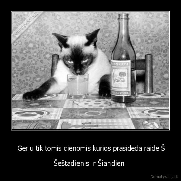 alkoholis,gerimas,katinas,sestadienis