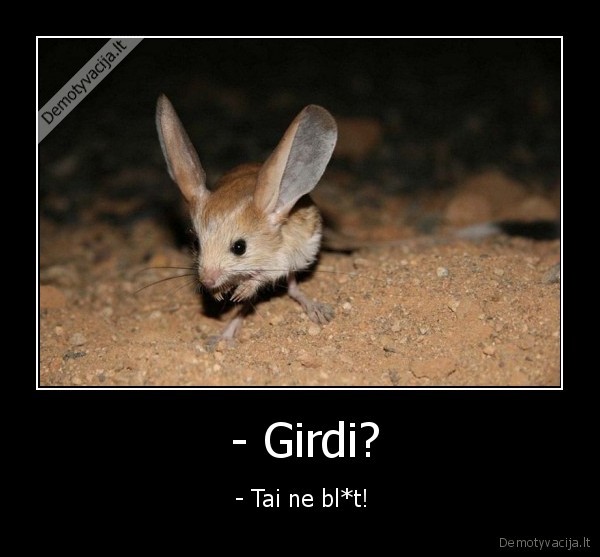 su, tokiom, ausym, neimanoma, negirdet