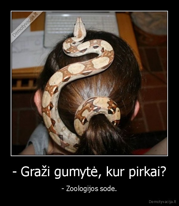 gyvate,gumyte,zoo,zoologijos, sodas