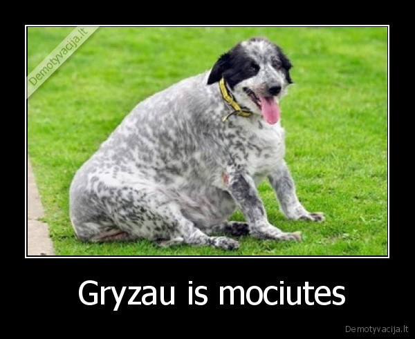  Gryzau is mociutes