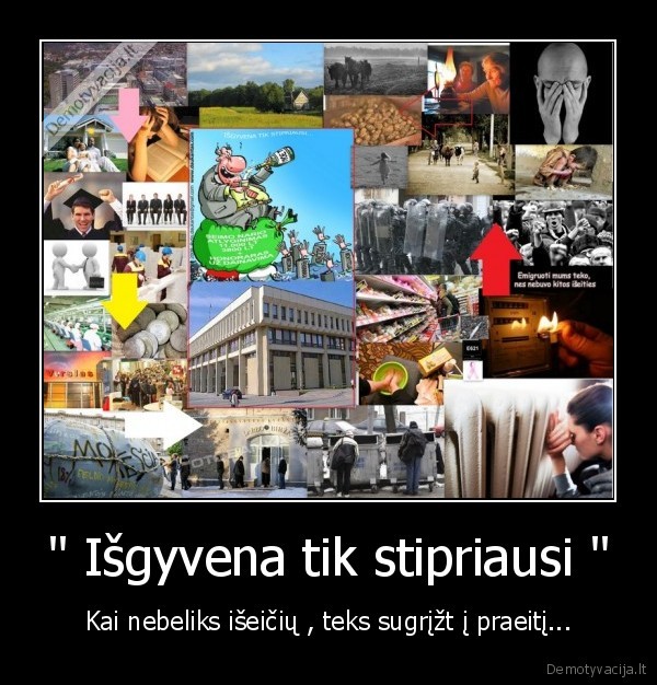 " Išgyvena tik stipriausi "