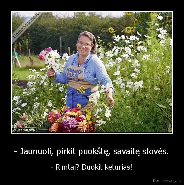 puokste,geles,stoves