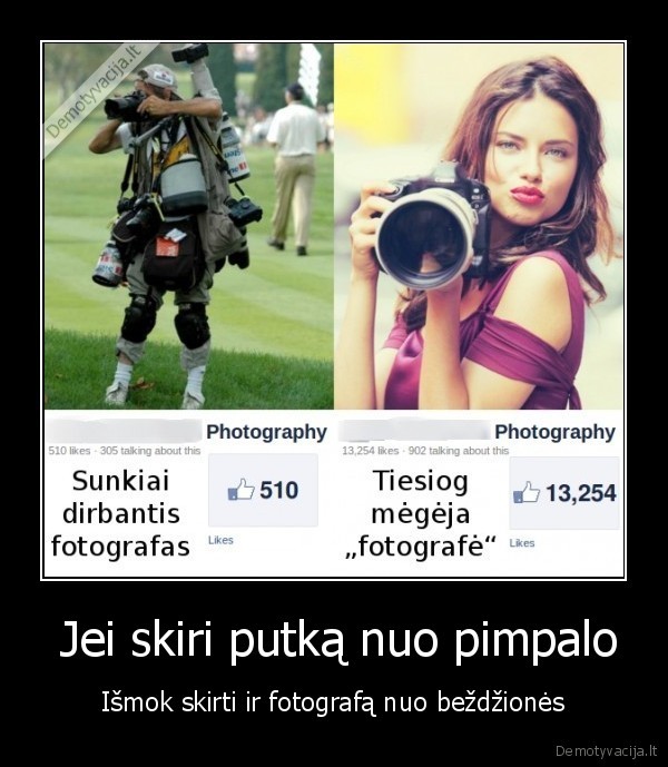  Jei skiri putką nuo pimpalo