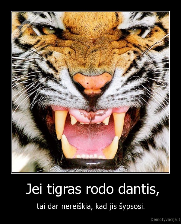 tigras,sypsena