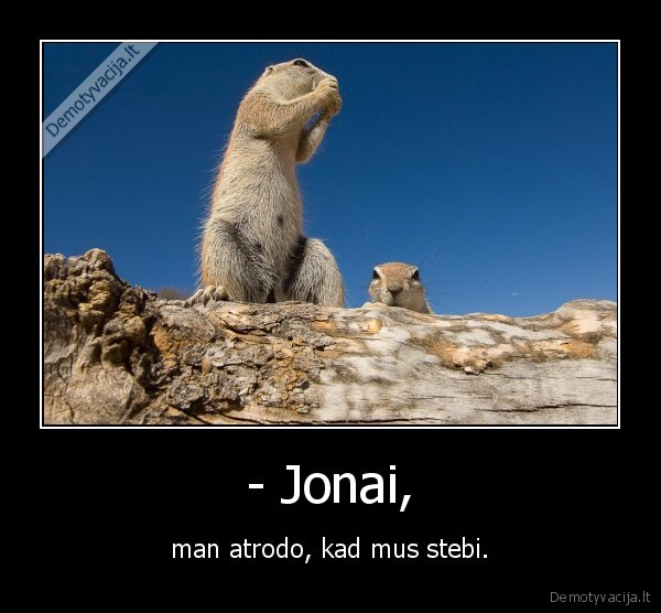- Jonai,