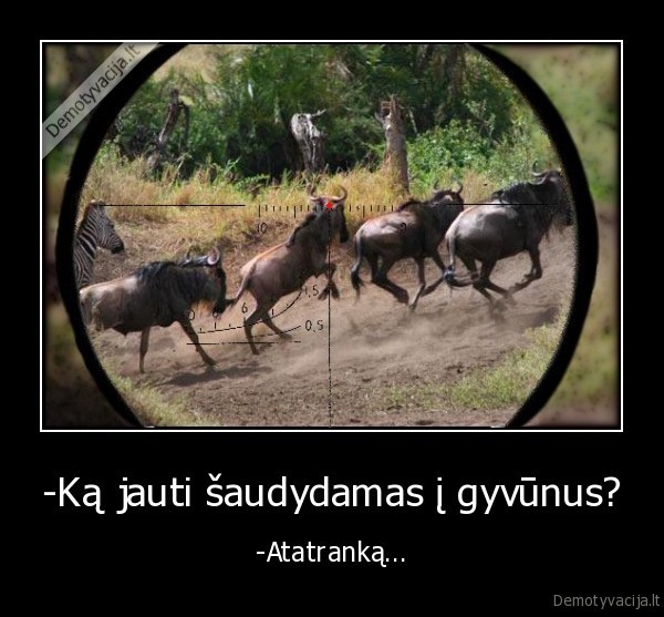 -Ką jauti šaudydamas į gyvūnus?