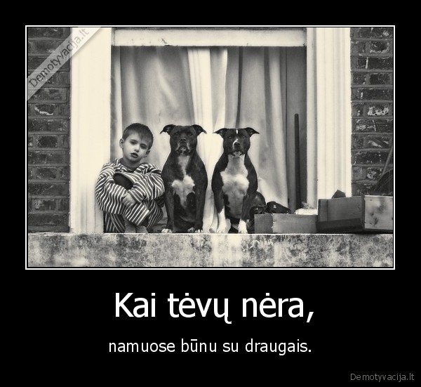 istikimiausi,drauga,tevai,namai