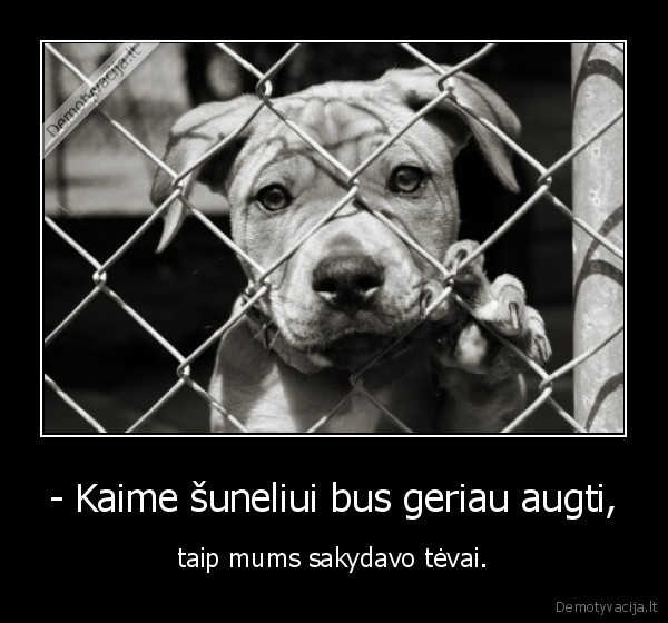 prieglauda,suo,tevai,augintinis