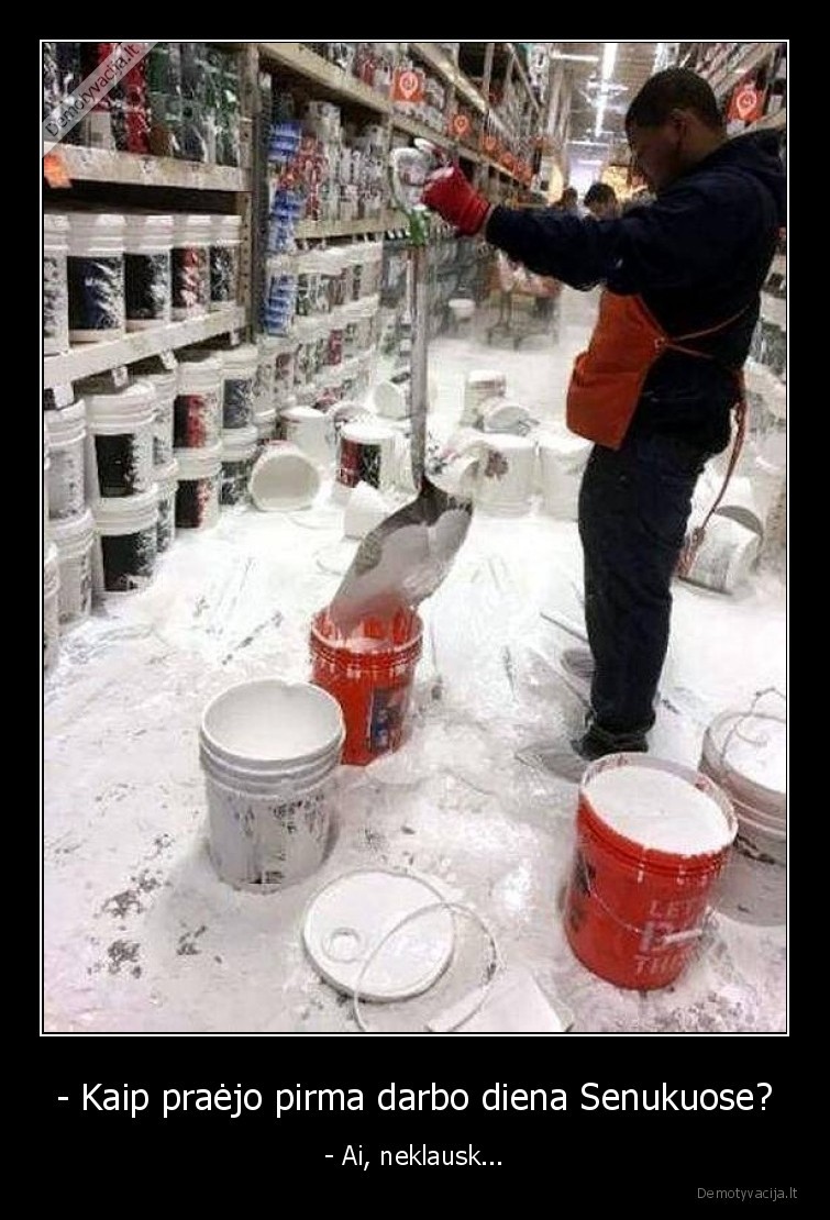 darbo, diena,senukai,d, azai,fail