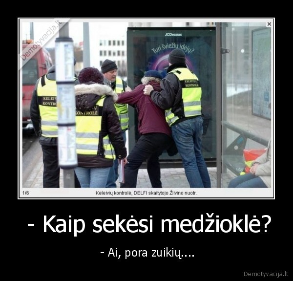 keleiviu, kontrole,zuikiai,morkos,bezbiletnikay