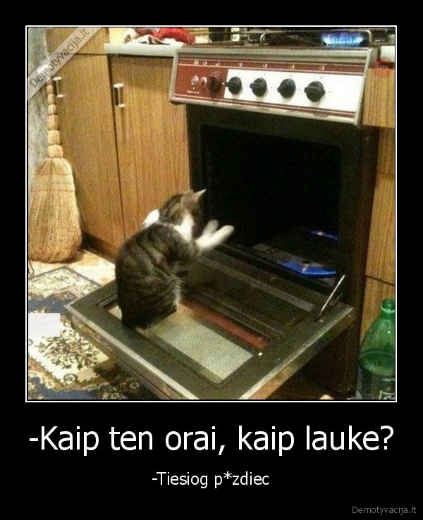 -Kaip ten orai, kaip lauke?