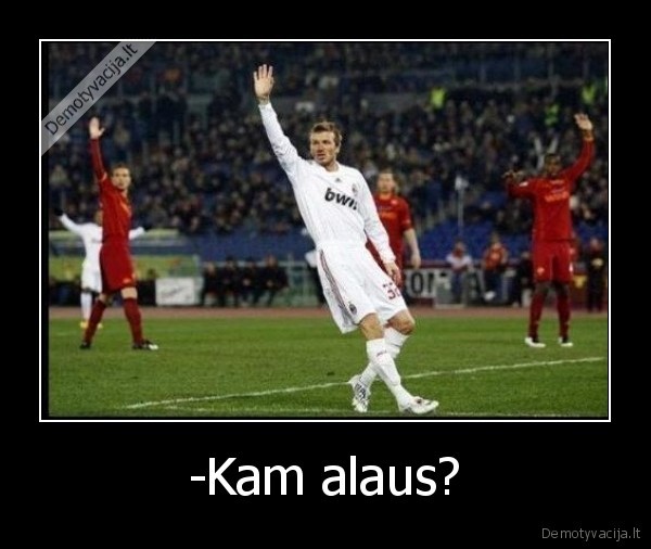 alus,kam,alaus,man,ir,man,irgi,kubilius,del,visko,kaltas,byberislox