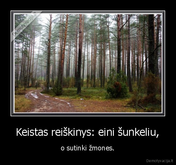  Keistas reiškinys: eini šunkeliu, 