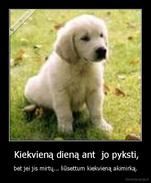  Kiekvieną dieną ant  jo pyksti,