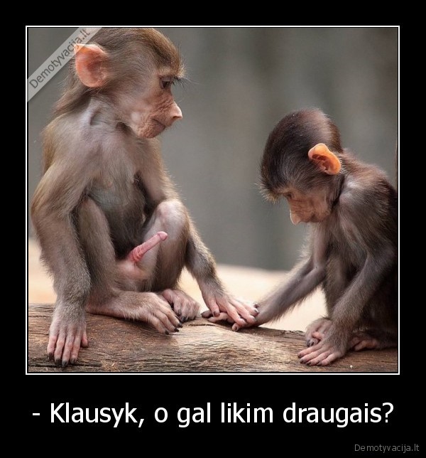 pas, tave, mazas, pimpalas