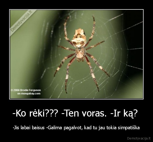 -Ko rėki??? -Ten voras. -Ir ką? 
