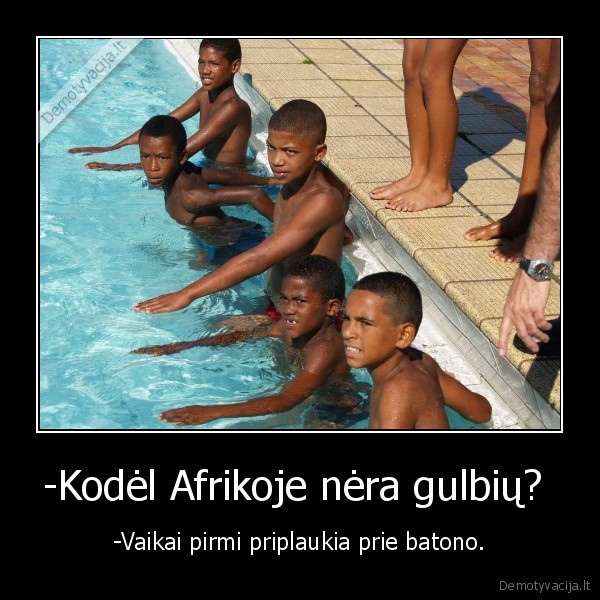 -Kodėl Afrikoje nėra gulbių? 