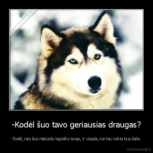 -Kodėl šuo tavo geriausias draugas?