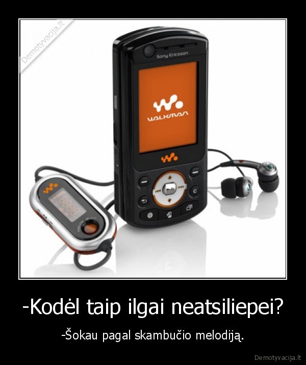 -Kodėl taip ilgai neatsiliepei?