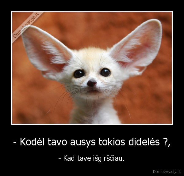 - Kodėl tavo ausys tokios didelės ?,