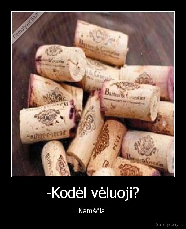 kamsciai,veluoti,vynas